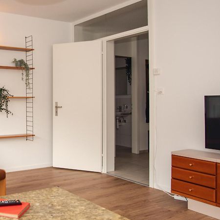 Spacious Apartment Next To Rhine Bazylea Zewnętrze zdjęcie