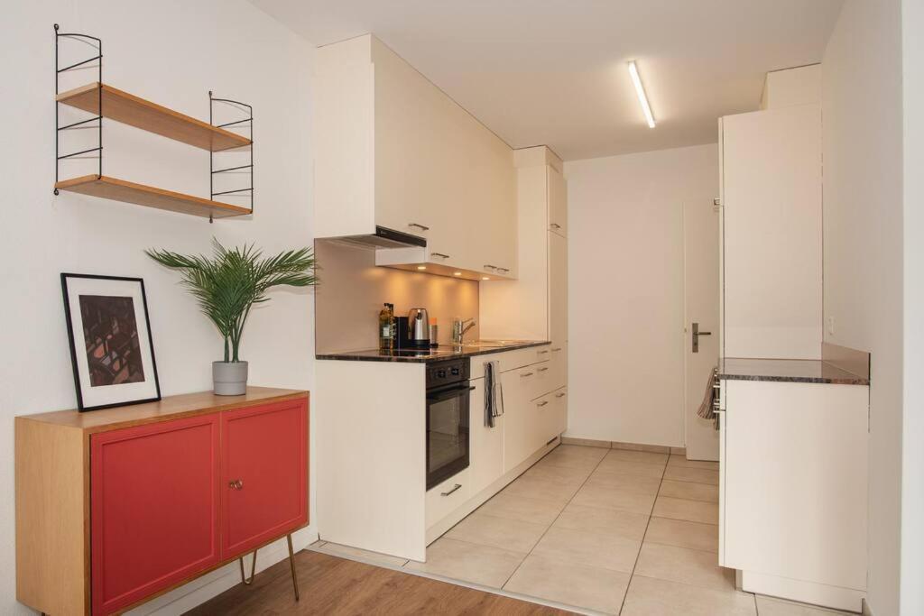Spacious Apartment Next To Rhine Bazylea Zewnętrze zdjęcie