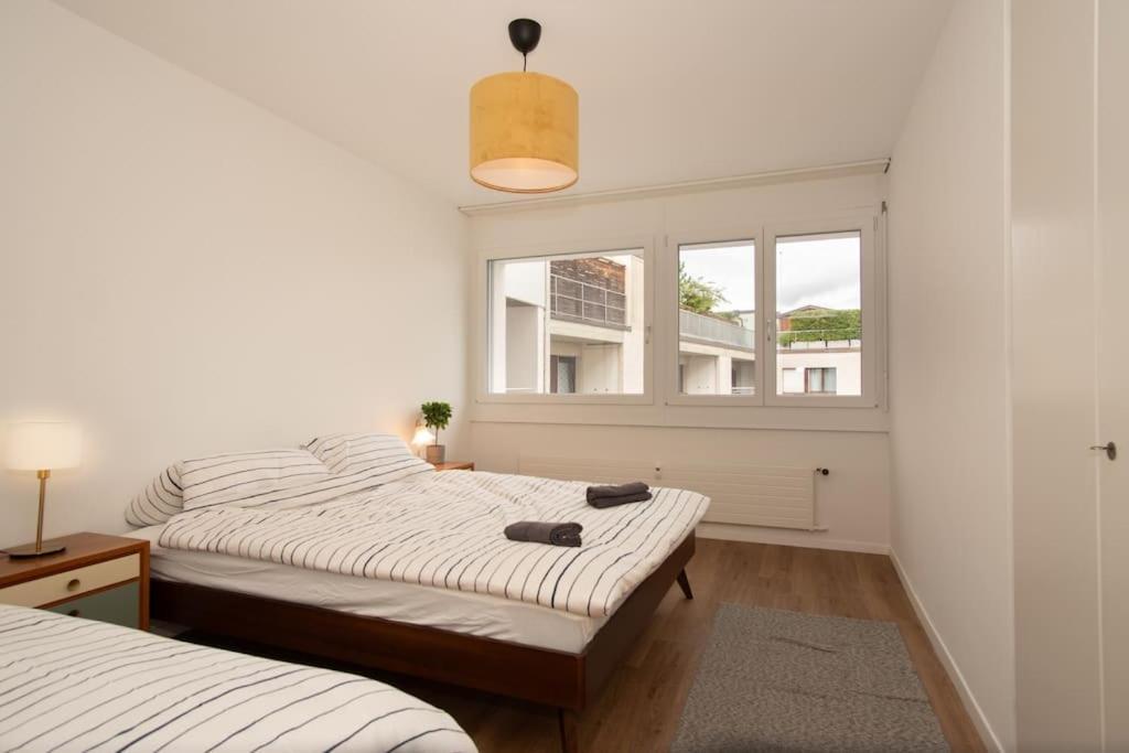 Spacious Apartment Next To Rhine Bazylea Zewnętrze zdjęcie